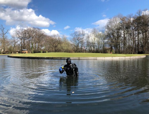 Heute kommen die Golfball-Taucher zu uns